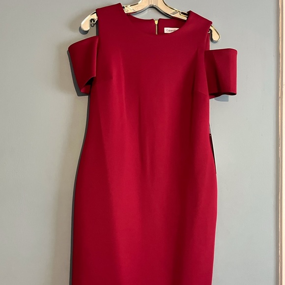 SELLING CALVIN KLEIN DRESS SIZE 10 COLOR RED PLUM BNWT - Picture 2 of 16